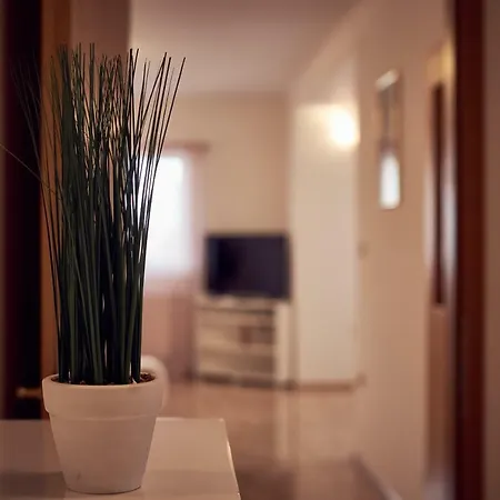 Apartman Sunny 特罗吉尔
